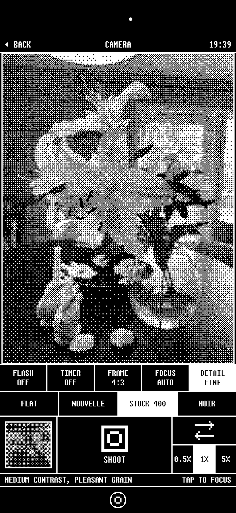 The 1bit camera viewfinder: a dithered live preview with film looks FLAT, NOUVELLE, STOCK 400 and NOIR